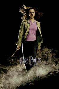 Konsttryck Harry Potter - Hermione Granger