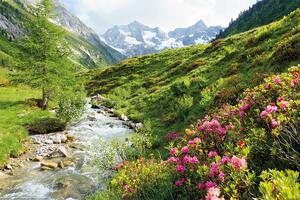 Poster, Affisch Alps - Nature and Mountains, (120 x 80 cm)