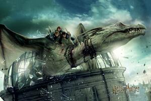 Poster, Affisch Harry Potter - Dragon ironbelly