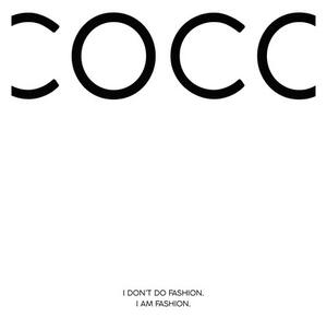 Poster, Affisch Finlay & Noa - Coco 1
