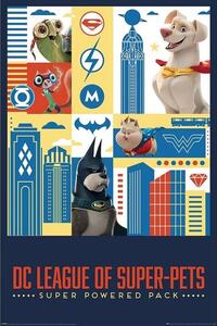 Poster, Affisch DC Super Pets - Activate, (61 x 91.5 cm)