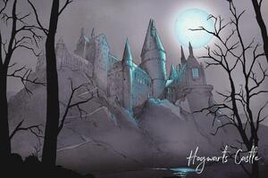 Konsttryck Harry Potter - Nocturnal Hogwarts Castlle