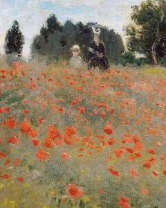 Monet, Claude - Konsttryck Poppies, (30 x 40 cm)