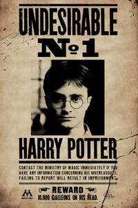 Konsttryck Harry Potter - Undesirable No 1, (26.7 x 40 cm)