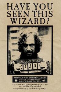 Konsttryck Harry Potter - Wanted Sirius Black, (26.7 x 40 cm)
