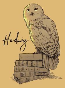 Konsttryck Harry Potter - Hedwig, (26.7 x 40 cm)