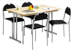 Bord Dinner style Ram 120x80 cm bordsskiva i björk, silvergrått stativ + 4 st Rx002 stolar