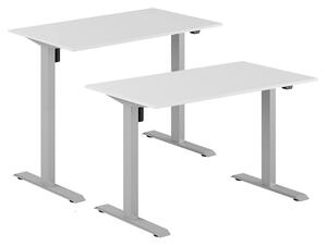 Höj- & sänkbart elskrivbord, grått stativ, vit bordsskiva, 100x70 cm
