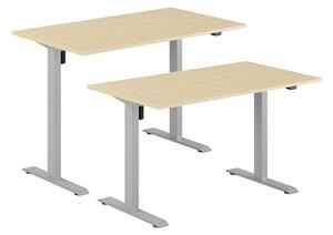 Höj- & sänkbart elskrivbord, grått stativ, bordsskiva i björk, 160x80 cm