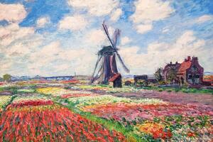 Bildreproduktion Tulip Fields with the Rijnsburg Windmill, 1886, Claude Monet