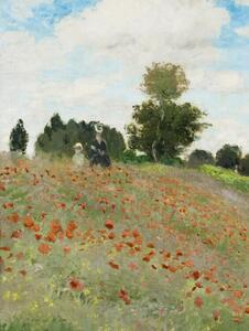 Bildreproduktion Poppies, Claude Monet