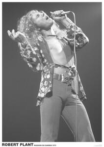 Poster, Affisch Led Zeppelin - Robert Plant March 1975 (colour)