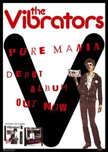 Poster, Affisch Vibrators - Pure Mania