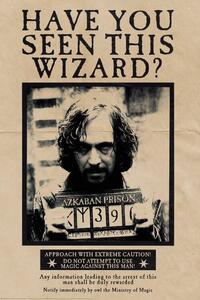 Poster, Affisch Harry Potter - Wanted Sirius Black, (80 x 120 cm)