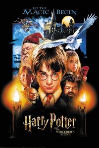 Poster, Affisch Harry Potter - Philosopher Stone, (80 x 120 cm)