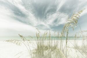 Fotografi Heavenly calmness on the beach | Vintage, Melanie Viola, (40 x 26.7 cm)