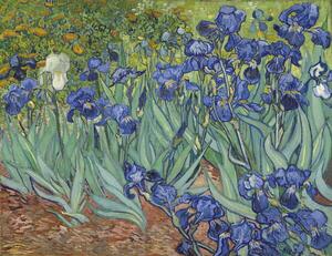 Gogh, Vincent van - Konsttryck Irises, 1889, (40 x 30 cm)