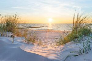 Poster, Affisch Tropical Beach - Sunset