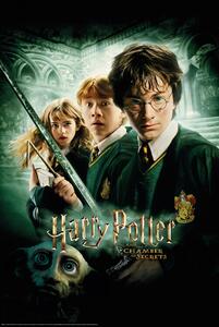 Poster, Affisch Harry Potter - Secret of Chambers