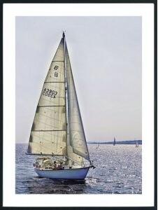 Posterworld - Motiv Sailing - 50x70 cm