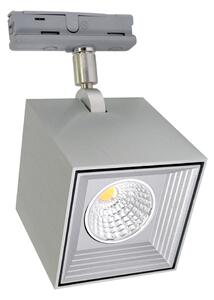 LED Takbelysning DAU SPOT MONOFASE LED/10W/230V