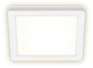 Briloner 3010-016 - LED taklampa LED/8W/230V 19x19 cm vit IP44