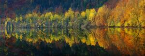Konstfotografering Autumnal silence, Burger Jochen, (60 x 23.2 cm)