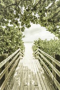 Konstfotografering Bridge to the beach with mangroves | Vintage, Melanie Viola, (26.7 x 40 cm)