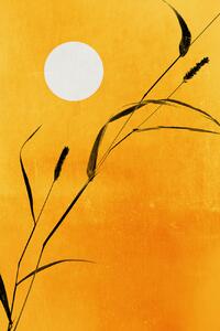 Illustration Sunny Days, Kubistika, (26.7 x 40 cm)
