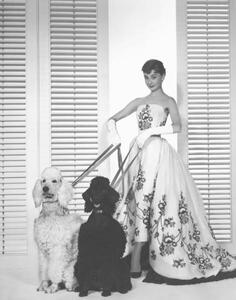 Konstfotografering Audrey Hepburn, (30 x 40 cm)