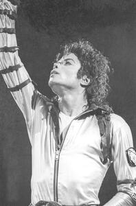 Fotografi Michael Jackson on stage in Nice, French Riviera, August 1988, ., (26.7 x 40 cm)