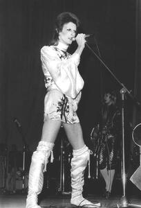 Konstfotografering David Bowie on Stage (Ziggy Stardust Tour) 1973, (26.7 x 40 cm)
