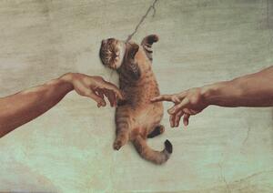 Illustration Touch of the Kitty, Artem Pozdniakov, (40 x 30 cm)