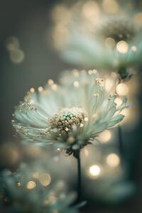 Konstfotografering Mint Flower, Treechild, (26.7 x 40 cm)