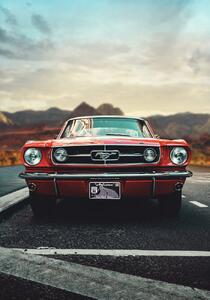 Konstfotografering Mustang Love, Fadil Roze, (26.7 x 40 cm)