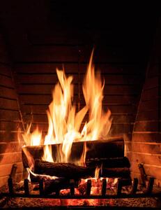Konstfotografering Fireplace burning wood logs, cozy warm home christmas time, Rawf8, (30 x 40 cm)