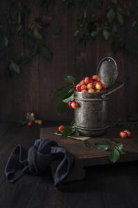 Konstfotografering Yellow cherries, Diana Popescu, (26.7 x 40 cm)