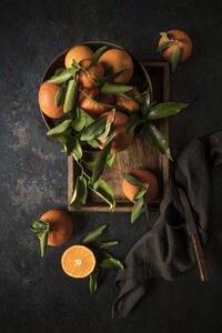 Konstfotografering Oranges, Diana Popescu, (26.7 x 40 cm)