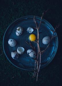 Konstfotografering Eggs, Aleksandrova Karina, (30 x 40 cm)