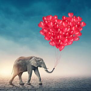 Konstfotografering Elephant with red balloons, egal, (40 x 40 cm)