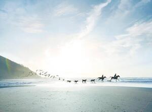 Konsttryck Conceptual shot of riders, dogs and birds on beach, Ezra Bailey, (40 x 30 cm)