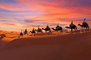 Konstfotografering Camel caravan going through the Sahara, Nisangha, (40 x 26.7 cm)