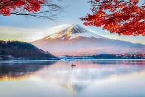 Konstfotografering Fuji Mountain , Red Maple Tree, DoctorEgg, (40 x 26.7 cm)