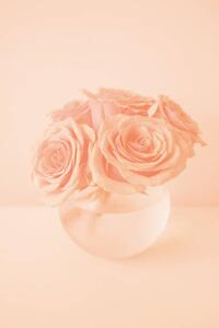 Konstfotografering Roses in the color of 2024 year Peach Fuzz, Anna Blazhuk, (26.7 x 40 cm)