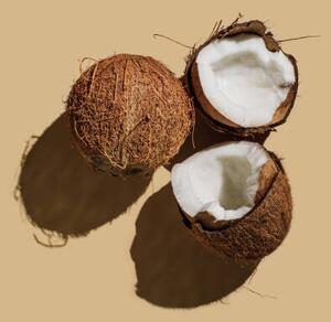 Konstfotografering Ripe coconuts on beige background. Creative, Tanja Ivanova, (26.7 x 40 cm)