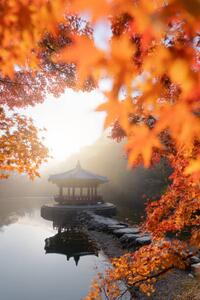 Konstfotografering Beautiful Autumn scene of Naejangsan national, Twenty47studio, (26.7 x 40 cm)