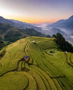 Konstfotografering Rice fields on terraced prepare the, Vu Viet Dung, (35 x 40 cm)