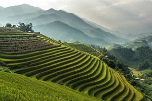 Konstfotografering Rice fields on terraced of Mu, wiratgasem, (40 x 26.7 cm)