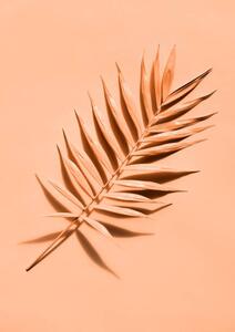 Konstfotografering Palm leaf close up, lenta, (30 x 40 cm)