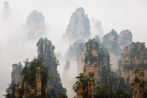 Konstfotografering China, Hunan, Zhangjijie, Mount Tianzi in fog, Peter Adams, (40 x 26.7 cm)